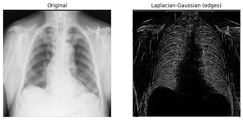 <Figure size 1000x1000 with 2 Axes>